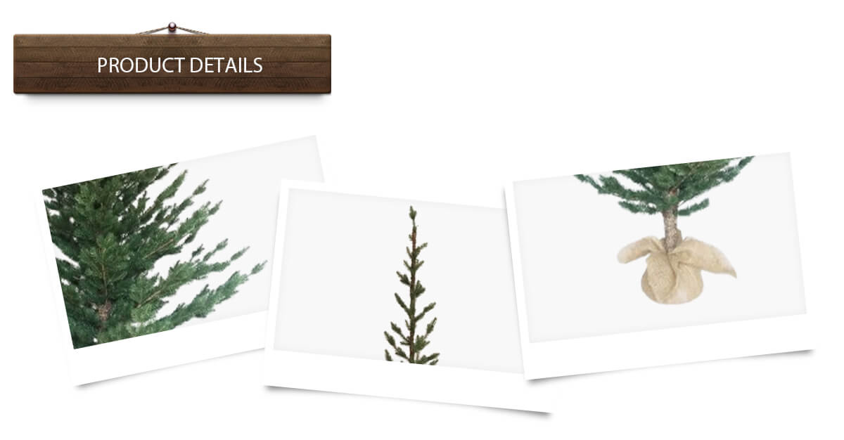 Искусственные елки из полиэтилена Искусственные елки из полиэтилена