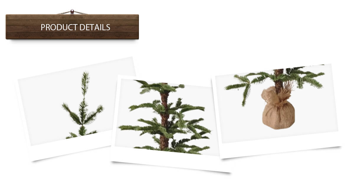 Hermosos árboles de Navidad