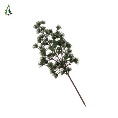 Rama del árbol de Navidad