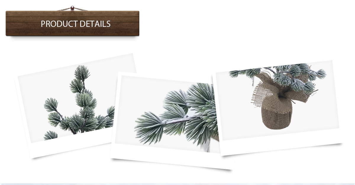 Arbres de Noël Arbres de Noël