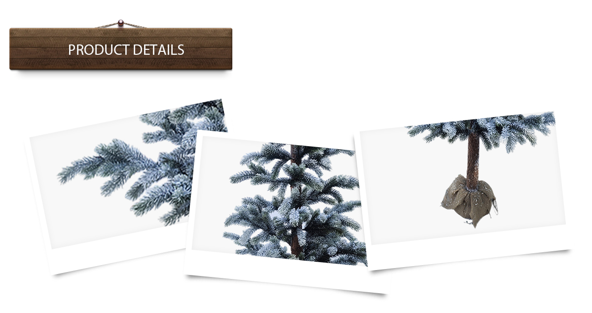 árbol de Navidad árbol de Navidad