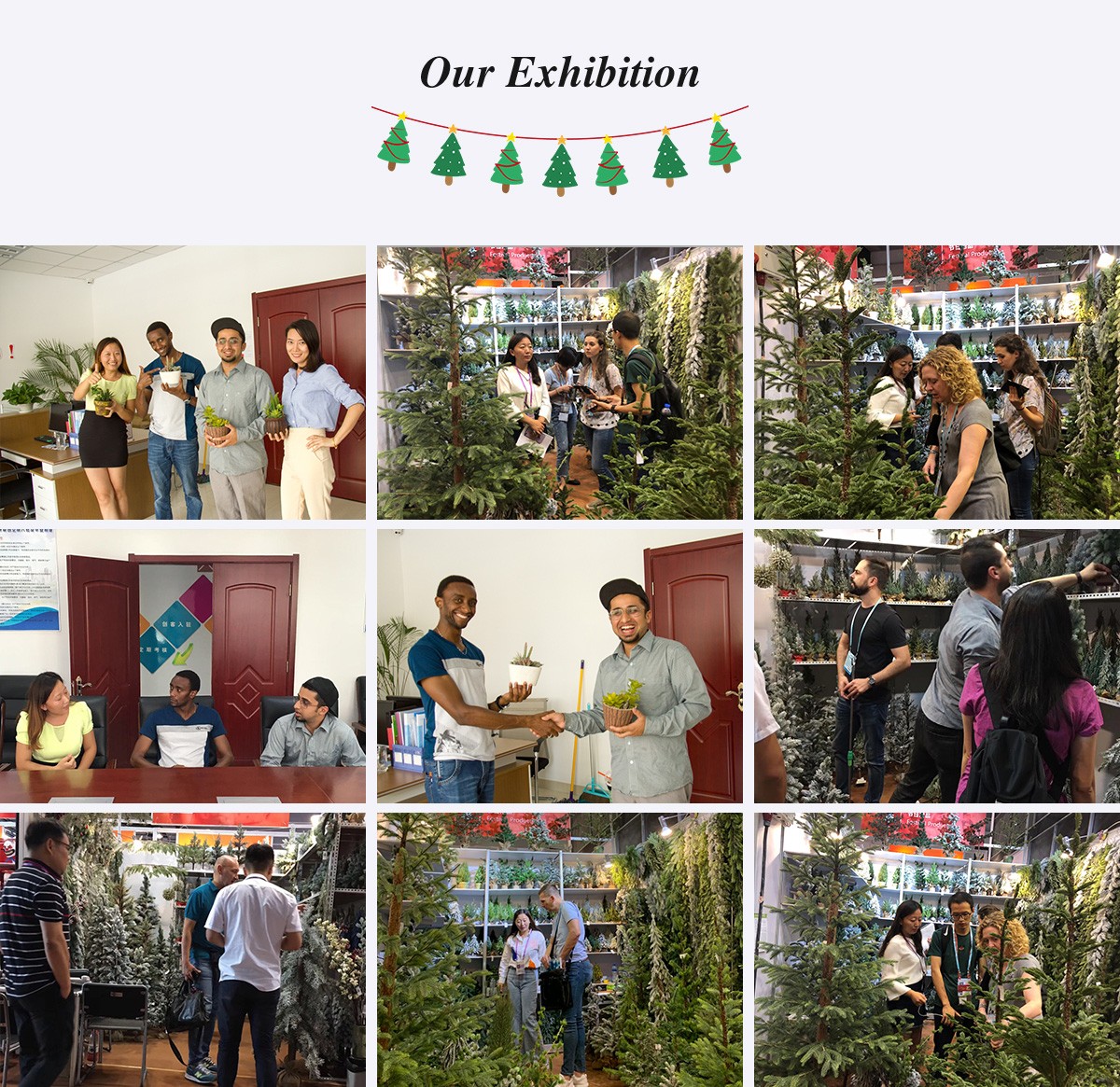 Выставка Рождественской королевы