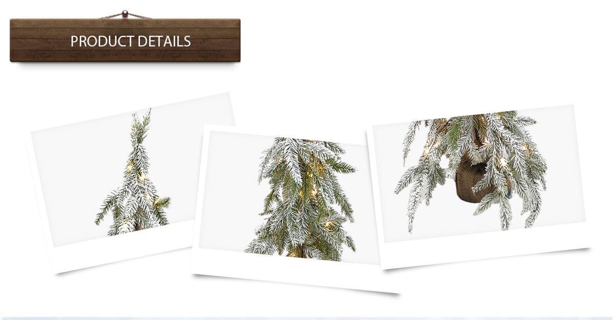 Рождественская елка Рождественская елка