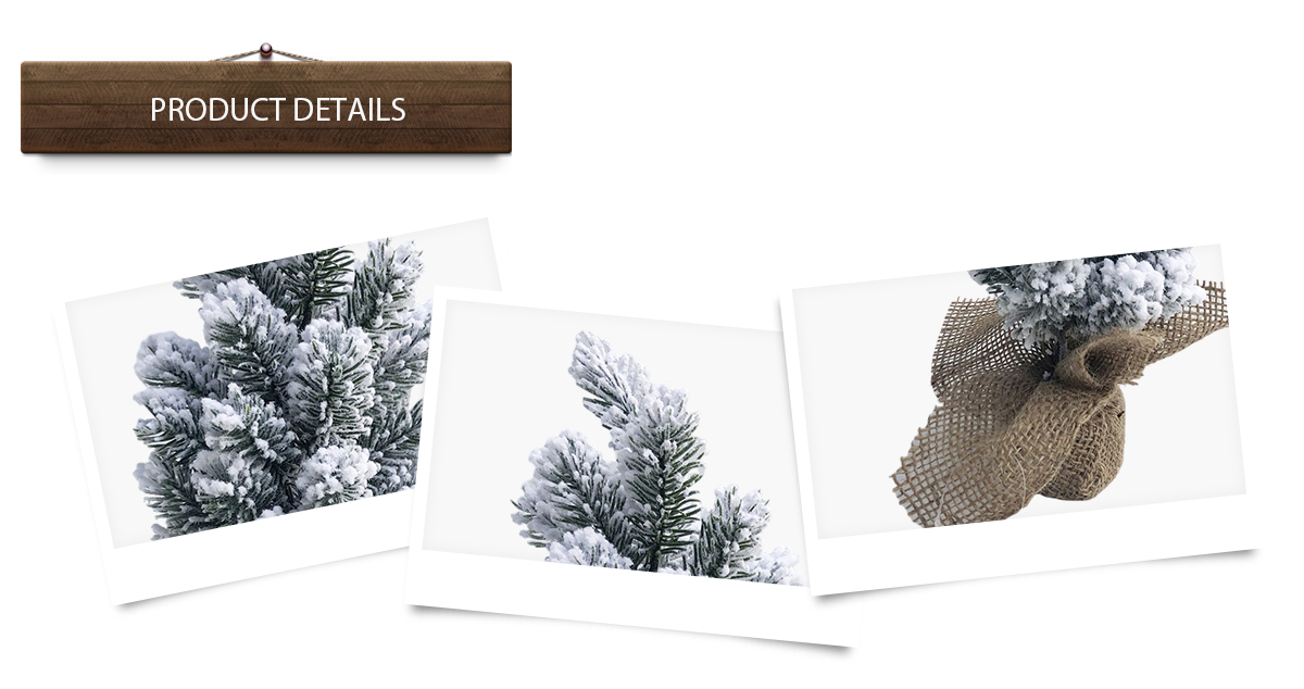 Рождественская елка Рождественская елка