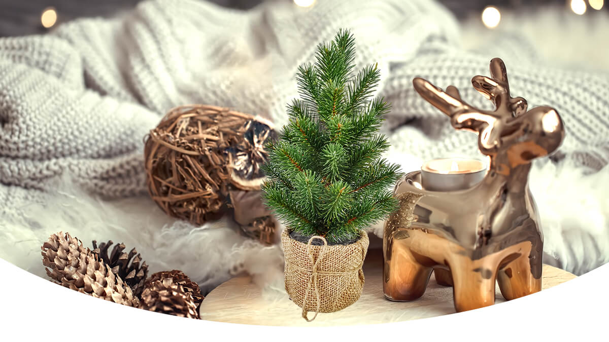 Arbre de Noël Arbre de Noël