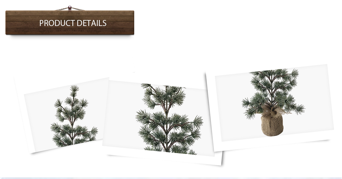 Рождественская елка Рождественская елка